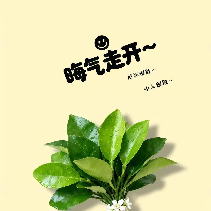 不想当小三