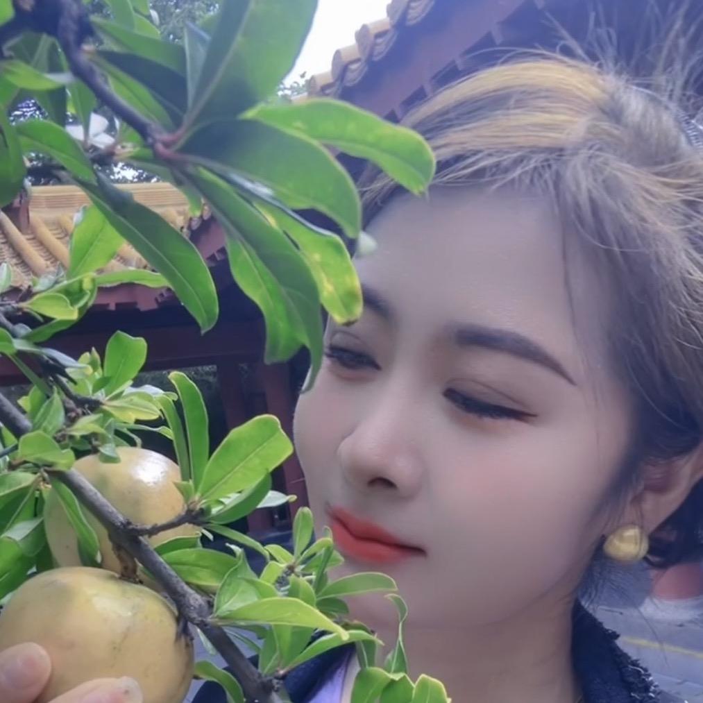 小小食府桔子