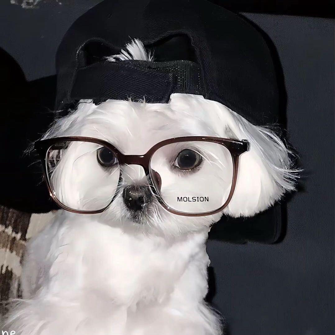 ☡zᶻ ⌁