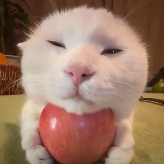 下次早点睡
