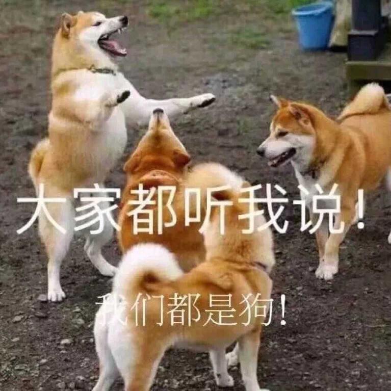 修狗