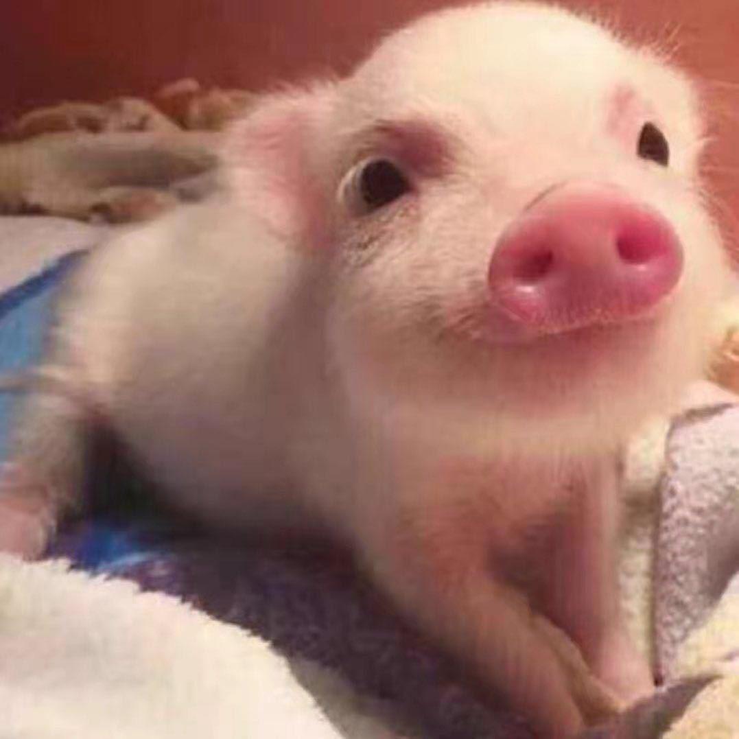 謝筅笙（白羊座）