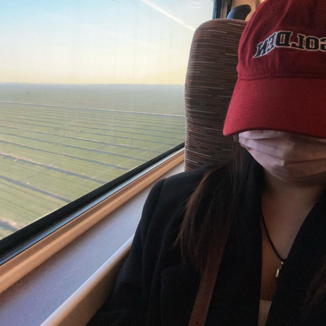 摸摸小猪头