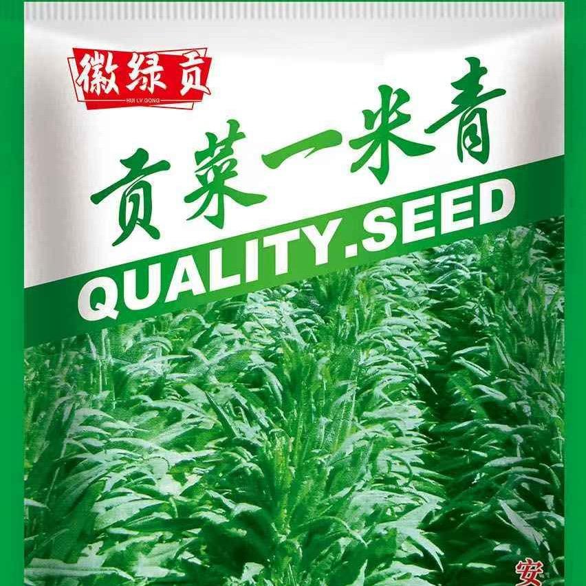 贡菜种子农资店