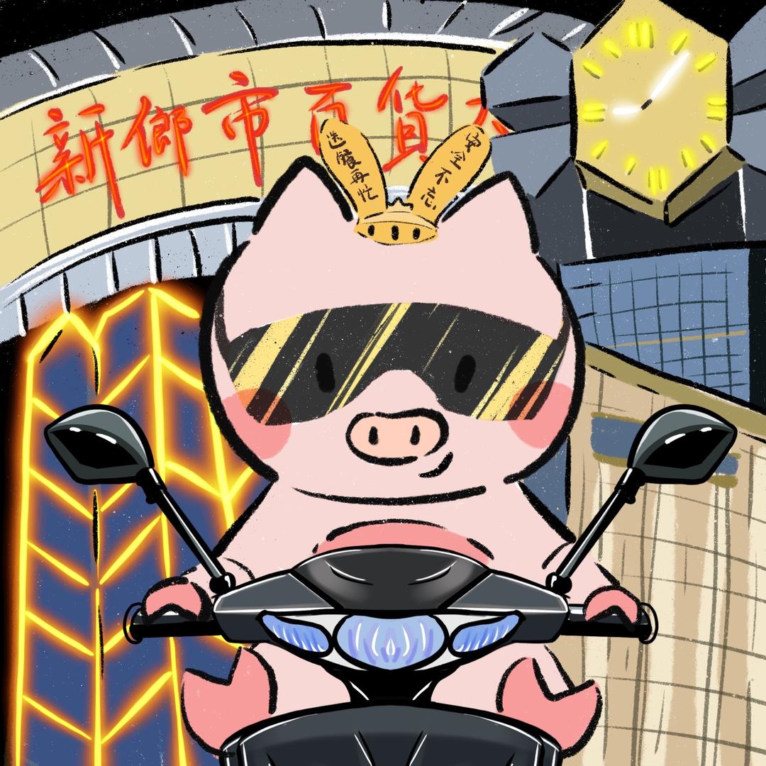 MR WHY 🐷