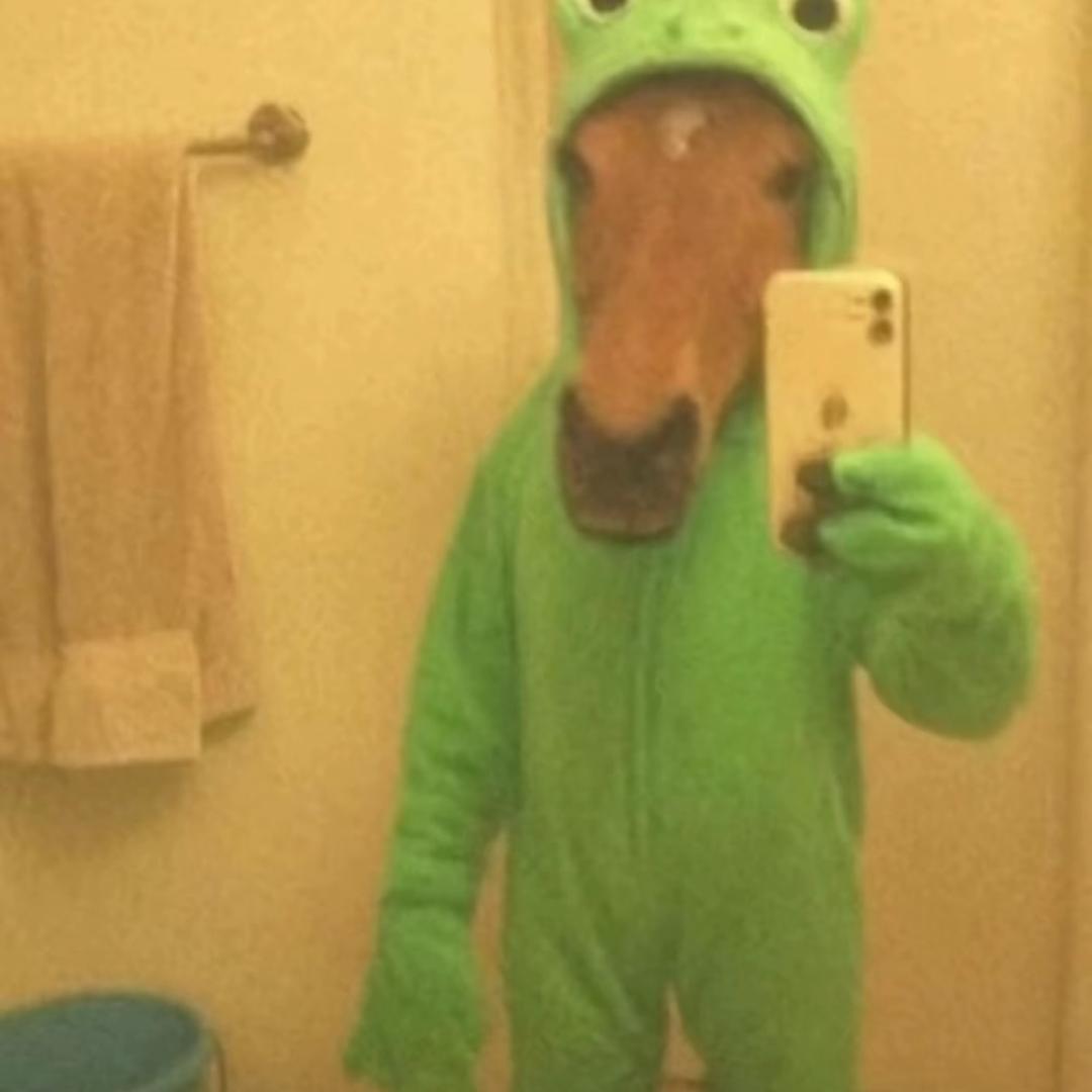 家有萌宠。