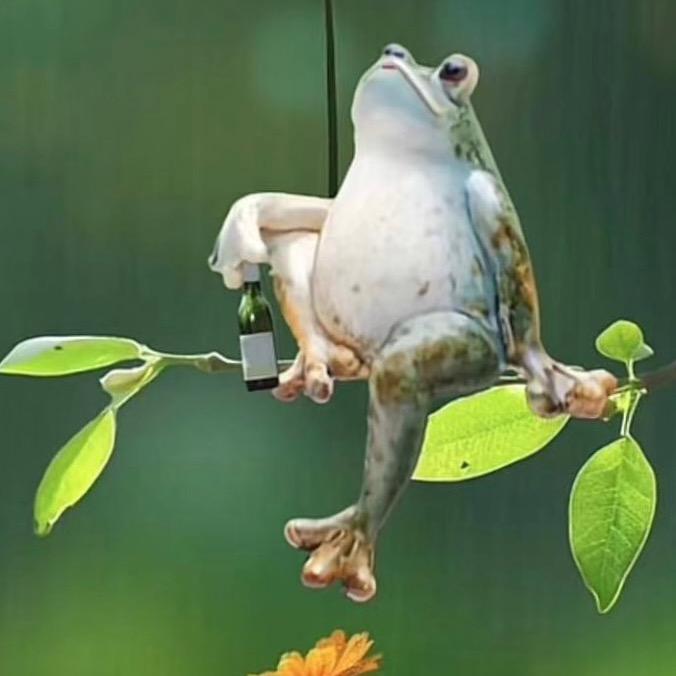 🌙星空的星🌸