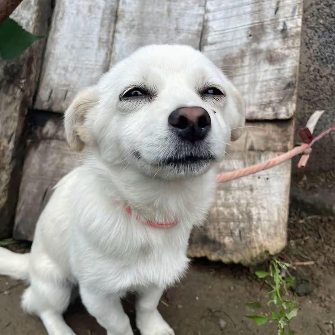 快快