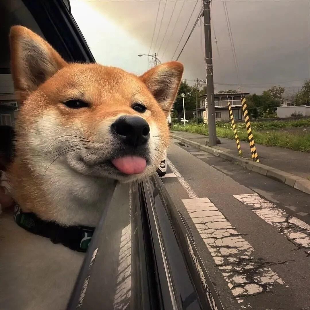 杰瑞 （三角洲跑刀）