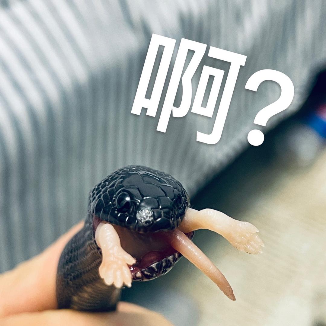 卷屋·共享官方号