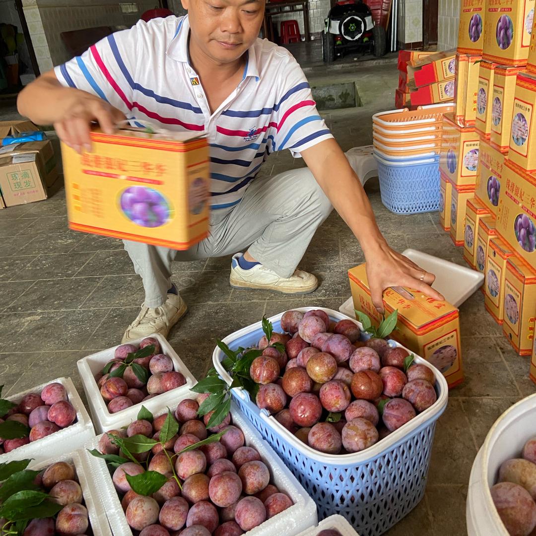强兴农场