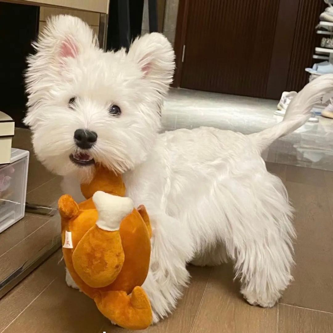 小牧