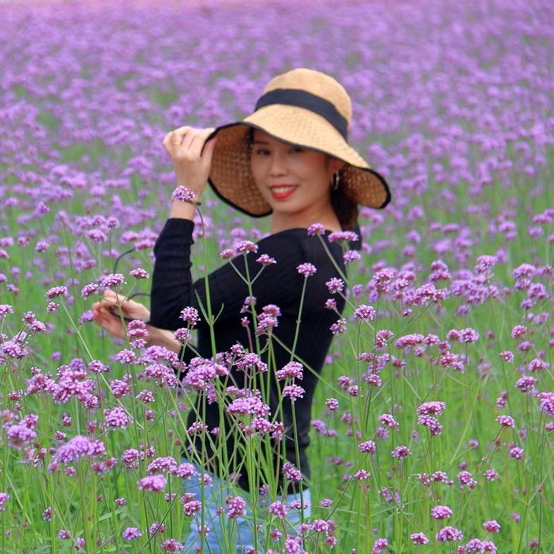 中宇卫浴/A阿英