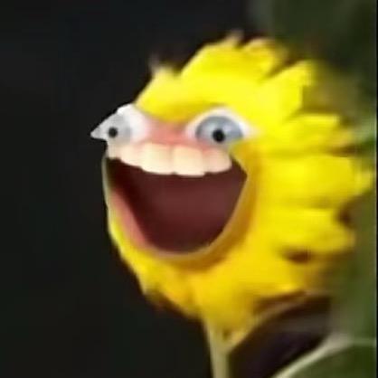 唱歌不好听的百灵鸟🎵
