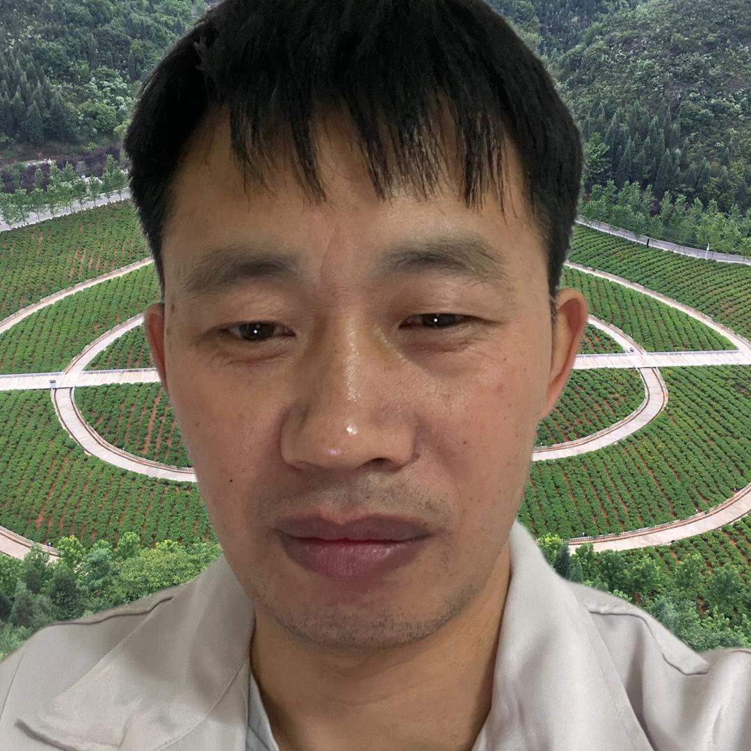 山毛
