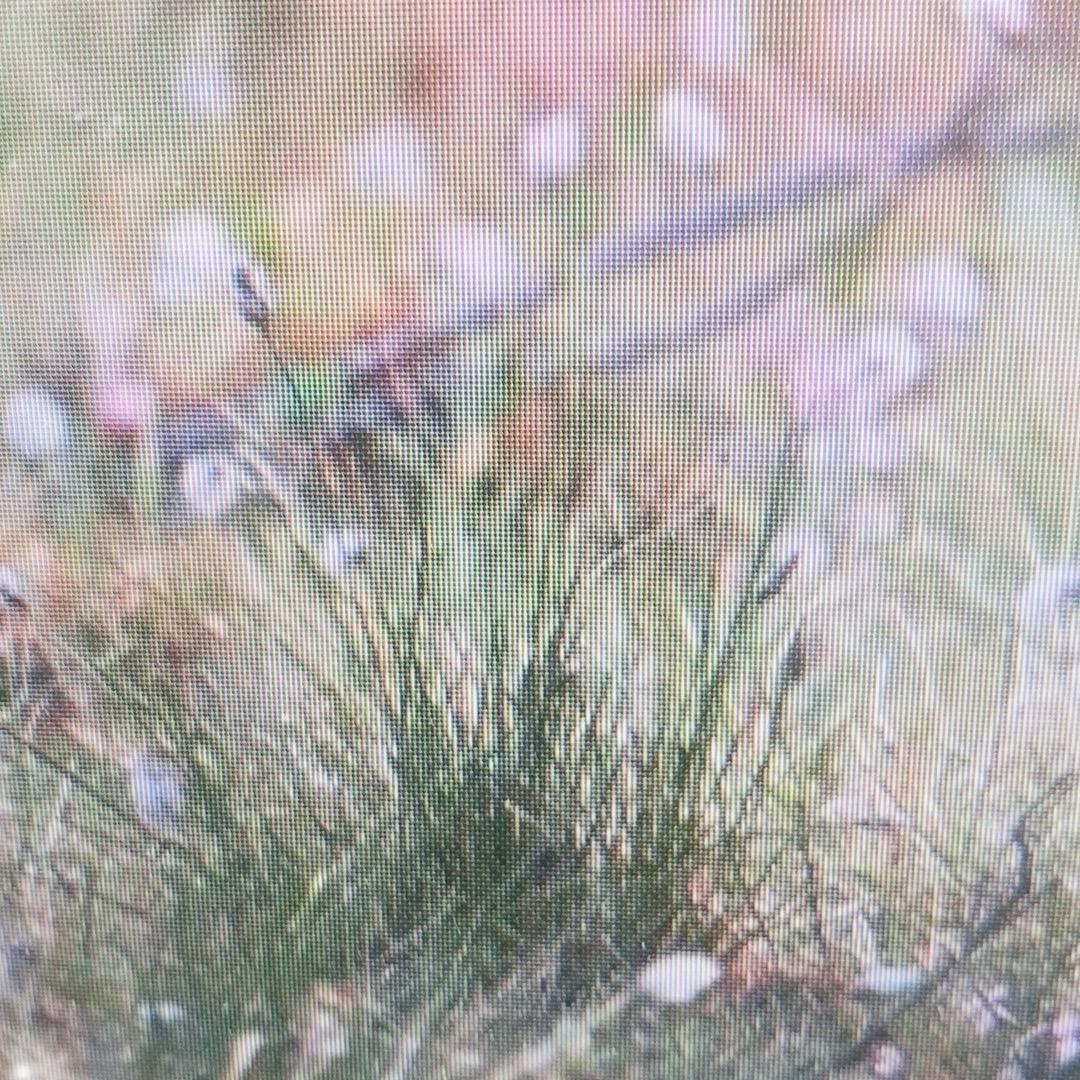 自强不息（正能量）