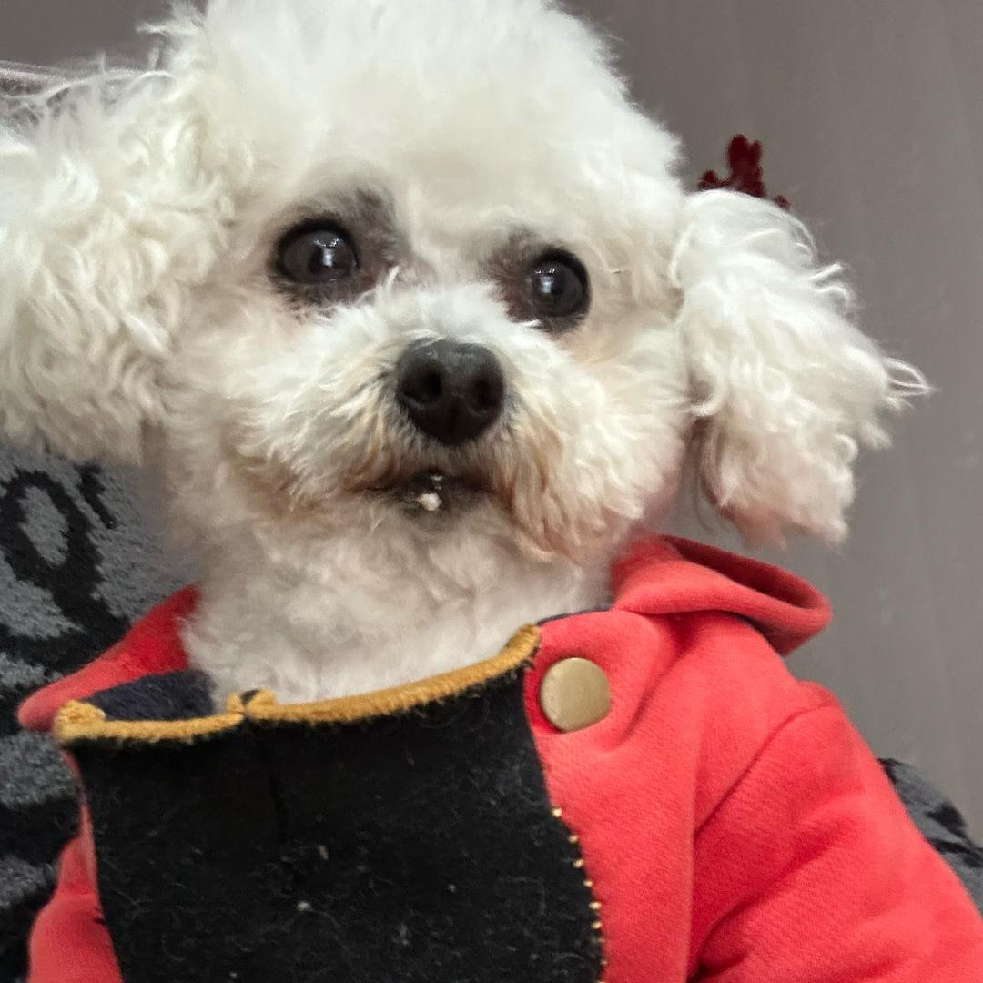 蜡笔小新没有笔