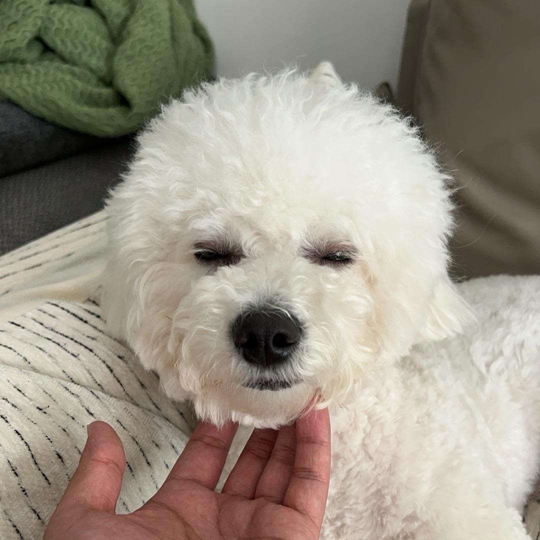 你很不错