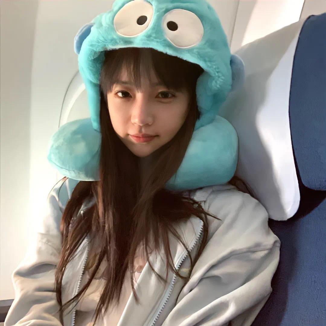 呆呆鱼