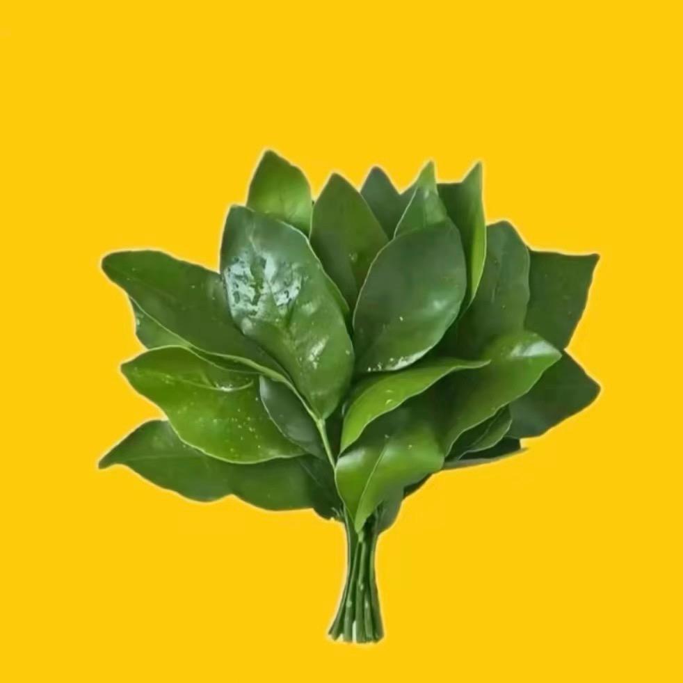 零篇