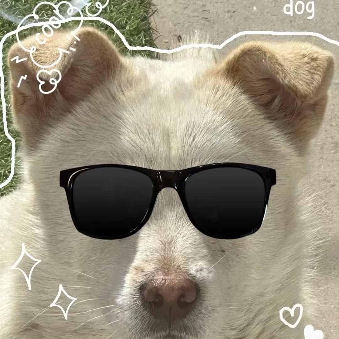 显然成立