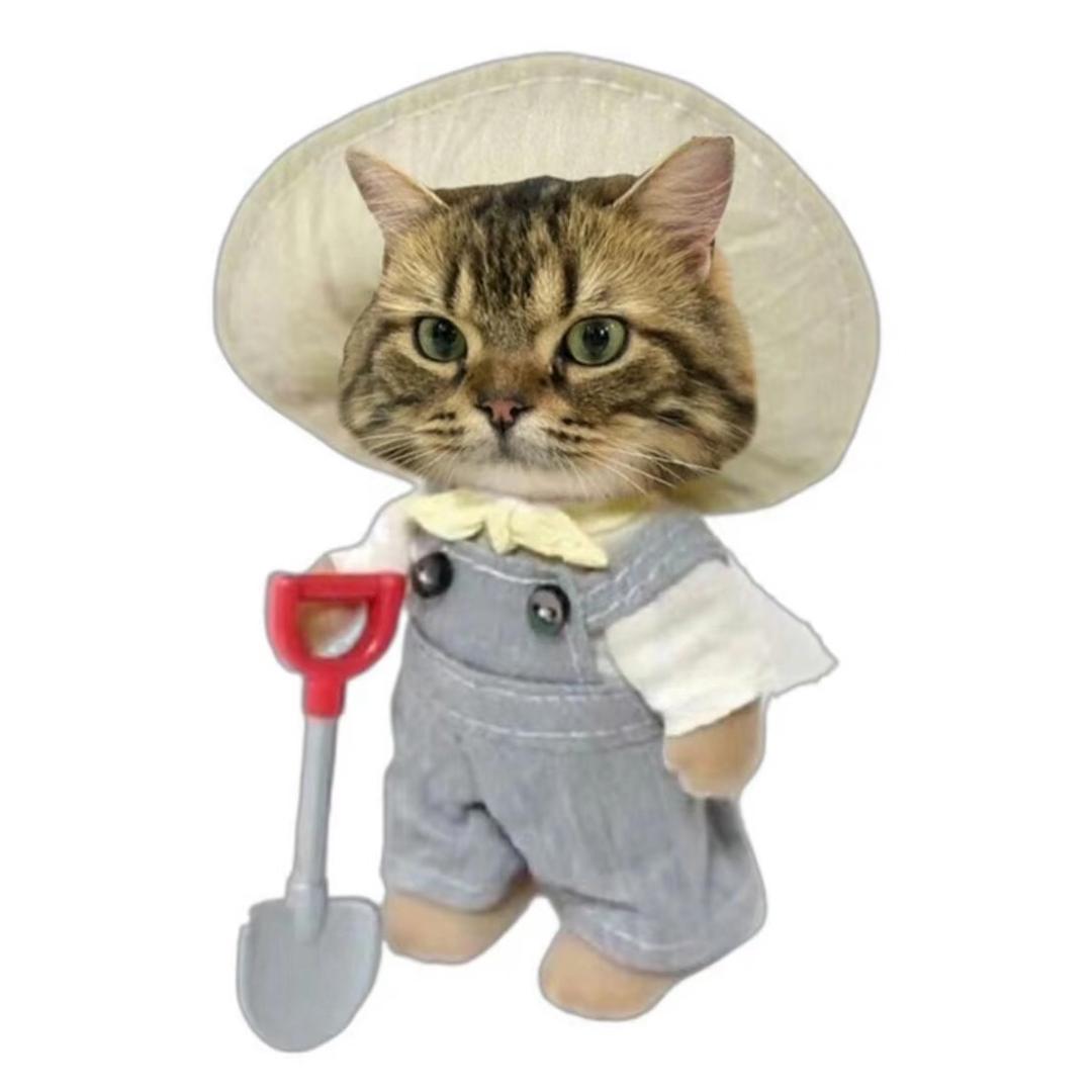 小朱今天囤什么