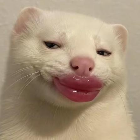 知竹