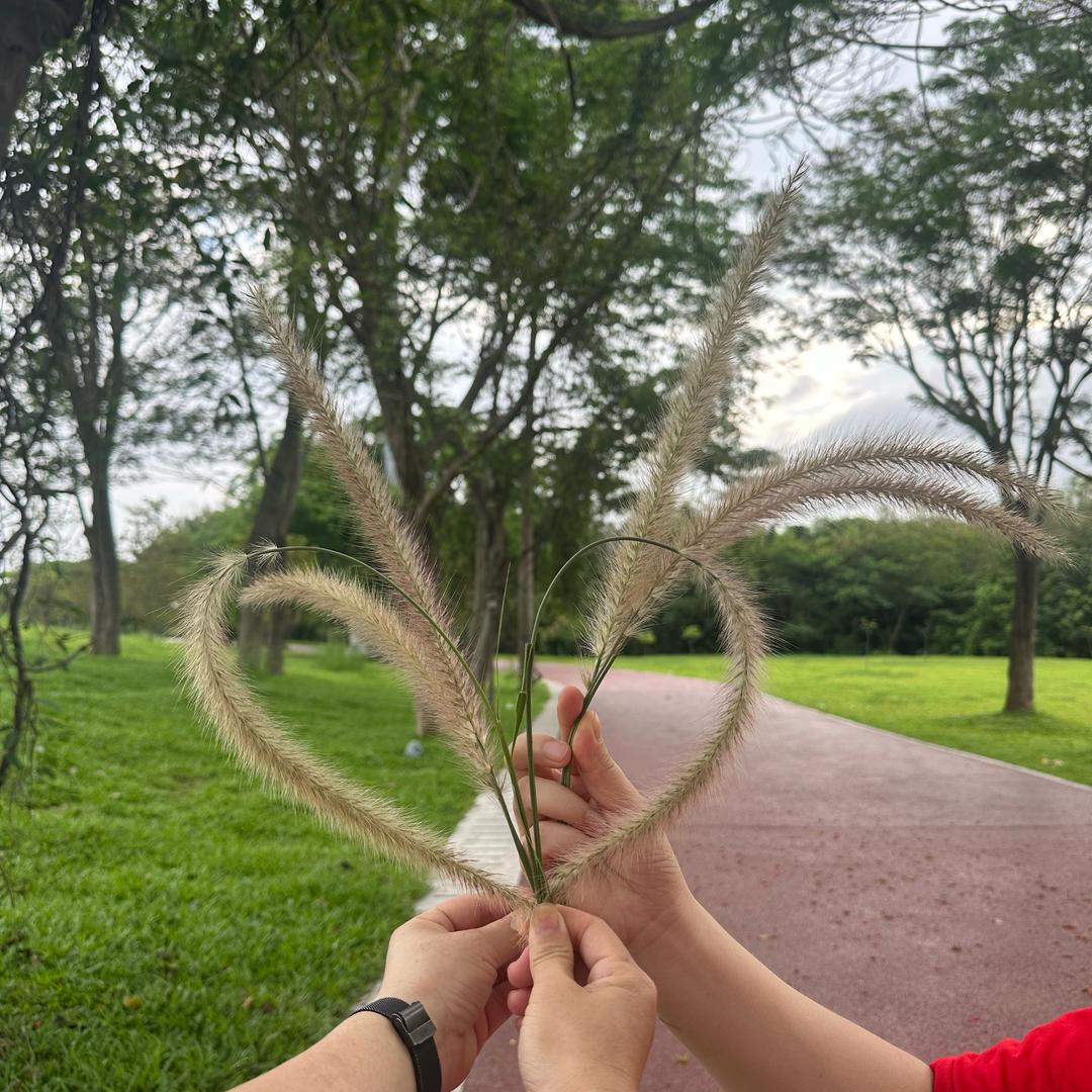 瑞锦堂美容理疗馆