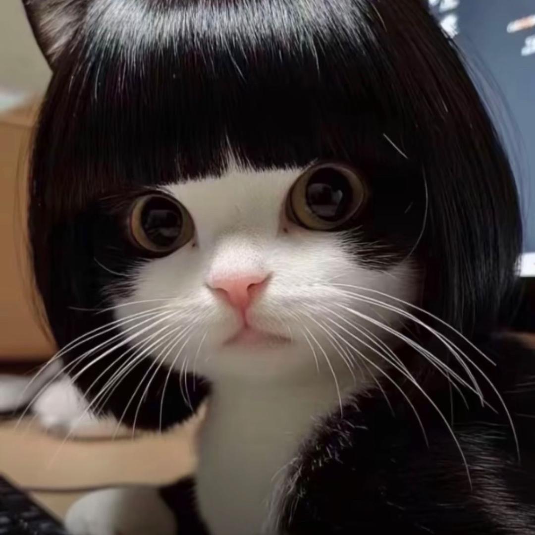 li斌·