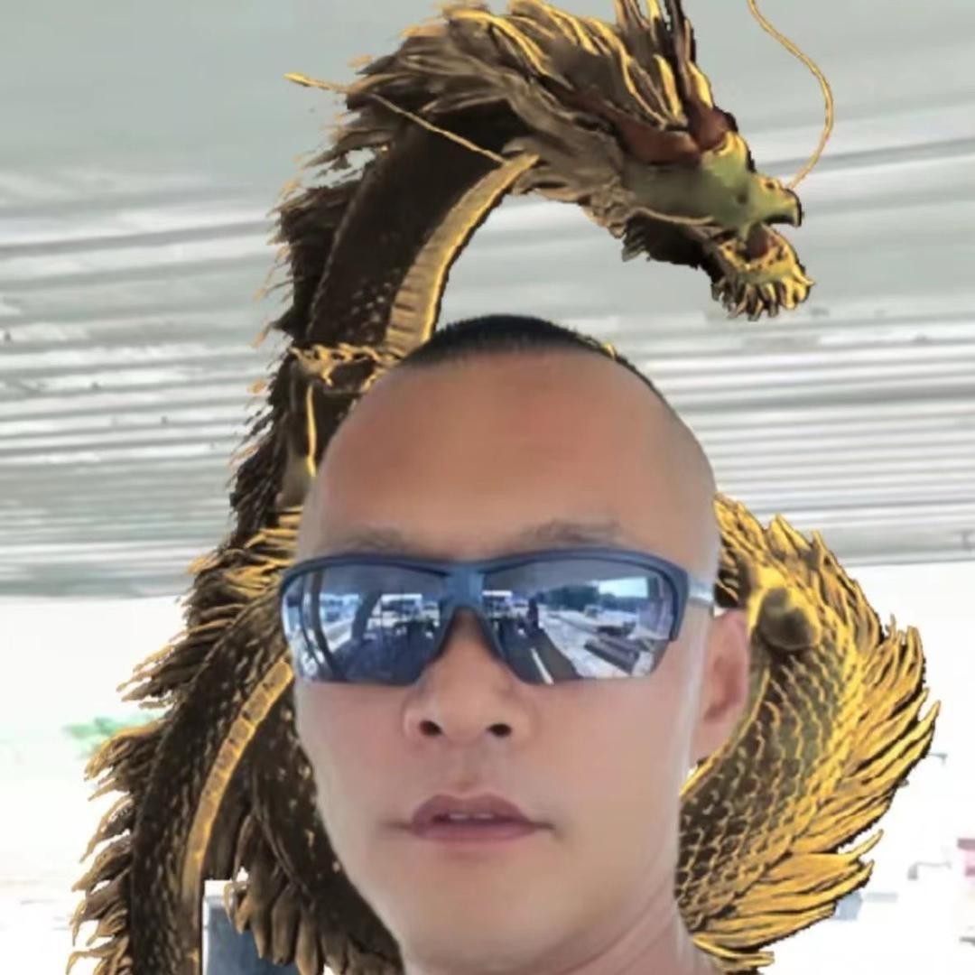 狂野战狼