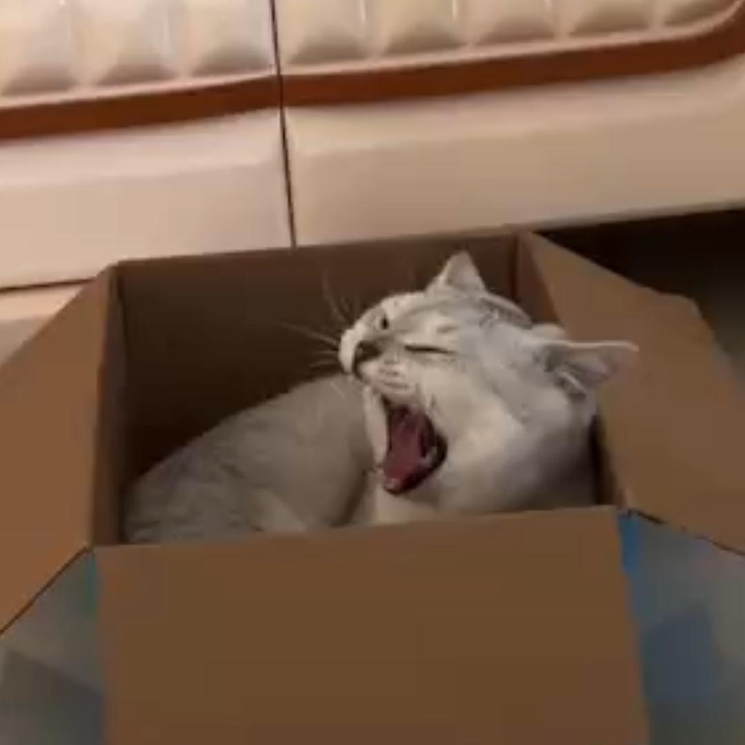 .。