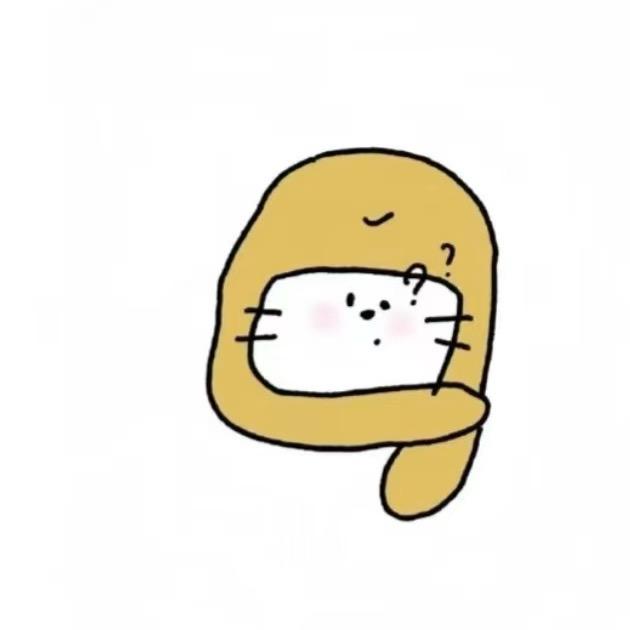 有媛相伴