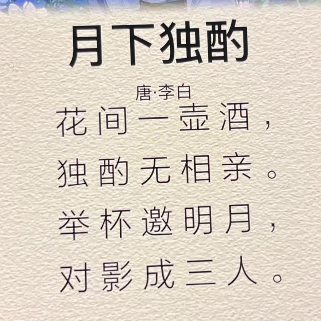 🌾月光下酒🌾