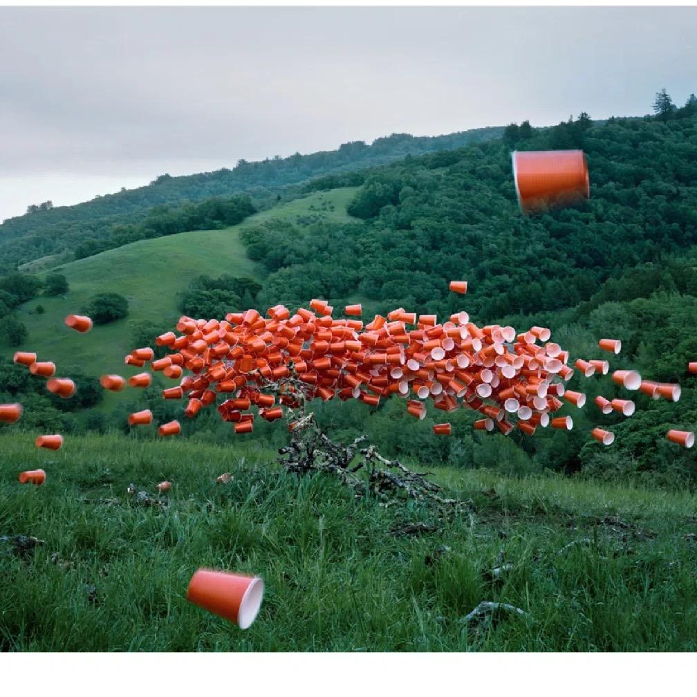 禧仕汇—栗子🌰