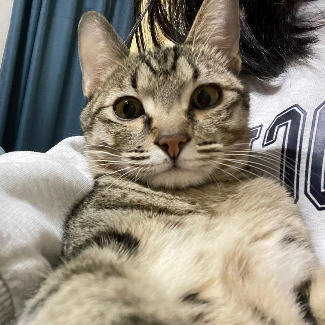 ♡林深时见鹿♡