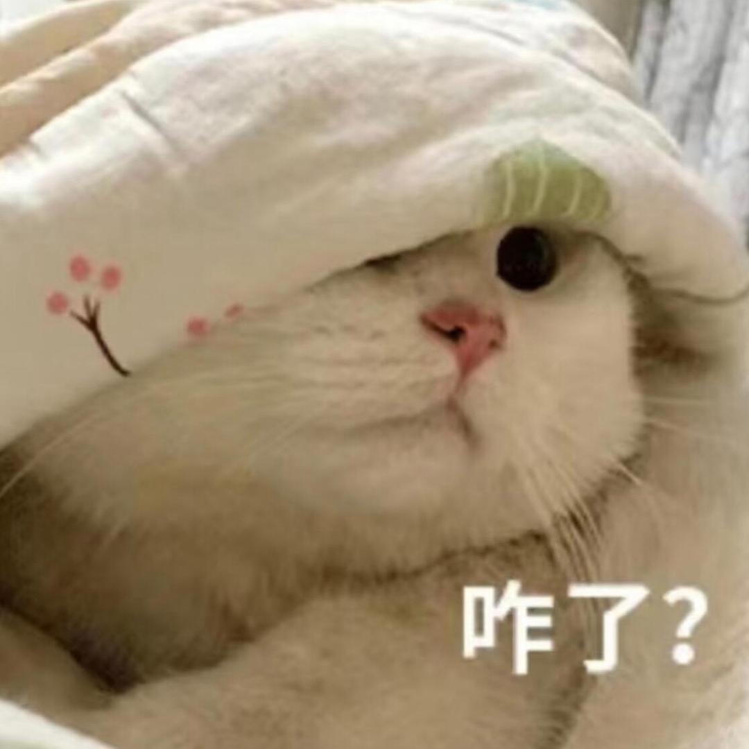 疏雨绵绵（喝水版）