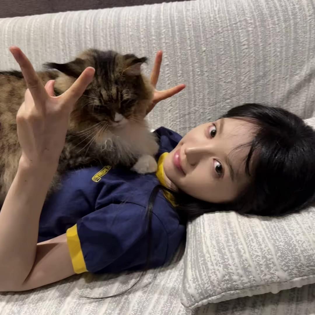 开心小🐟