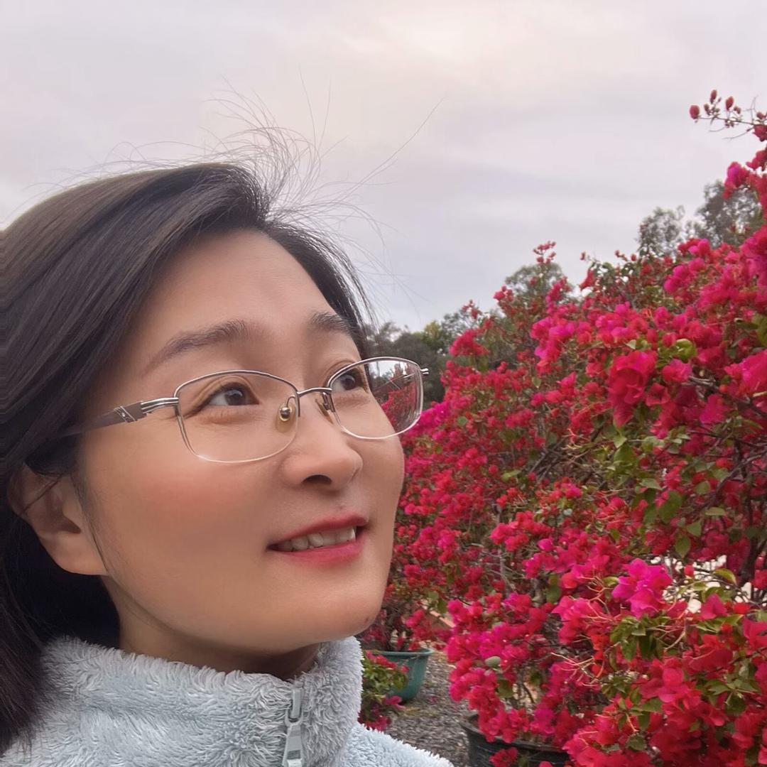汪汪不打烊