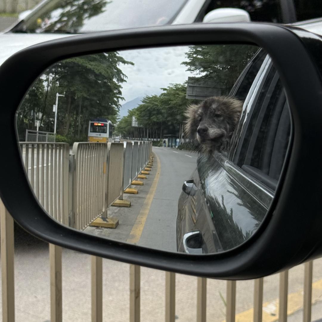 呜一呜啊啊