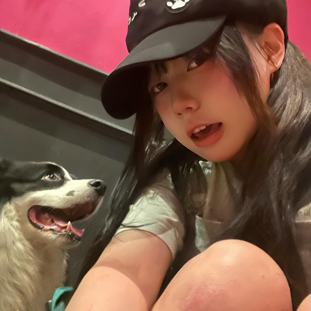 无敌圣光战龙