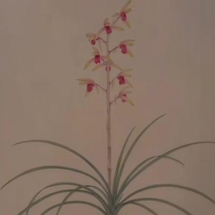 蕙儿