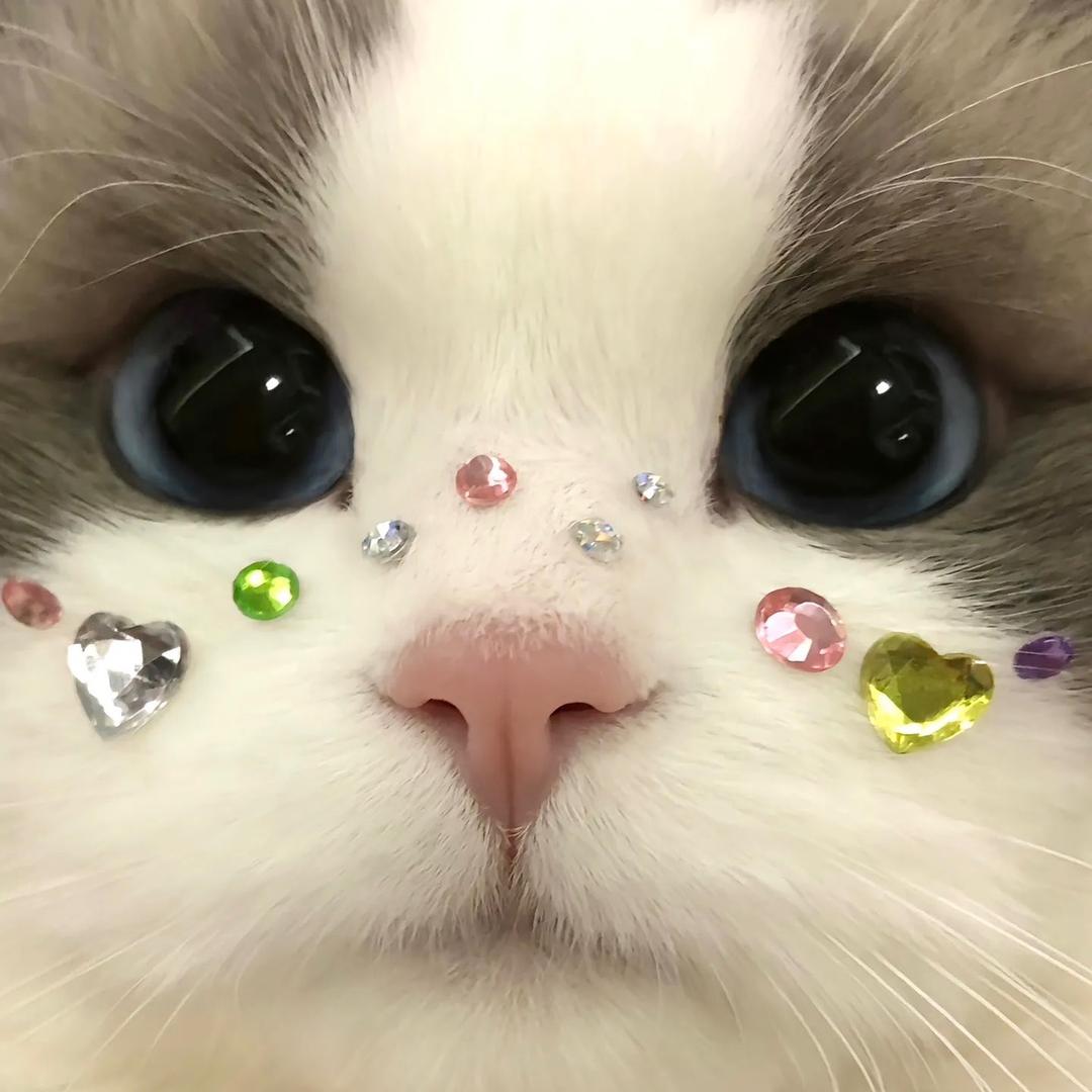 Yyyy🍬