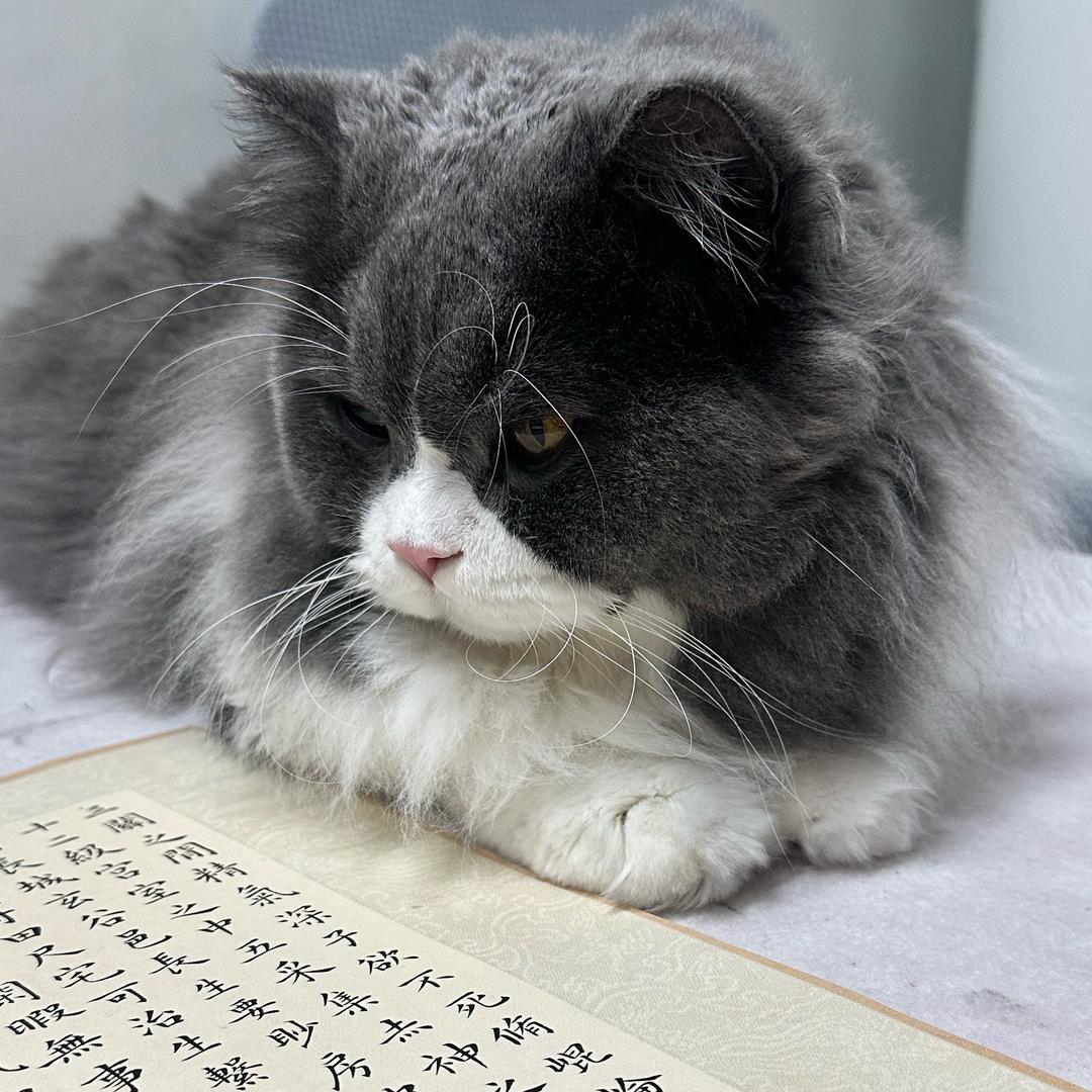 尺素间