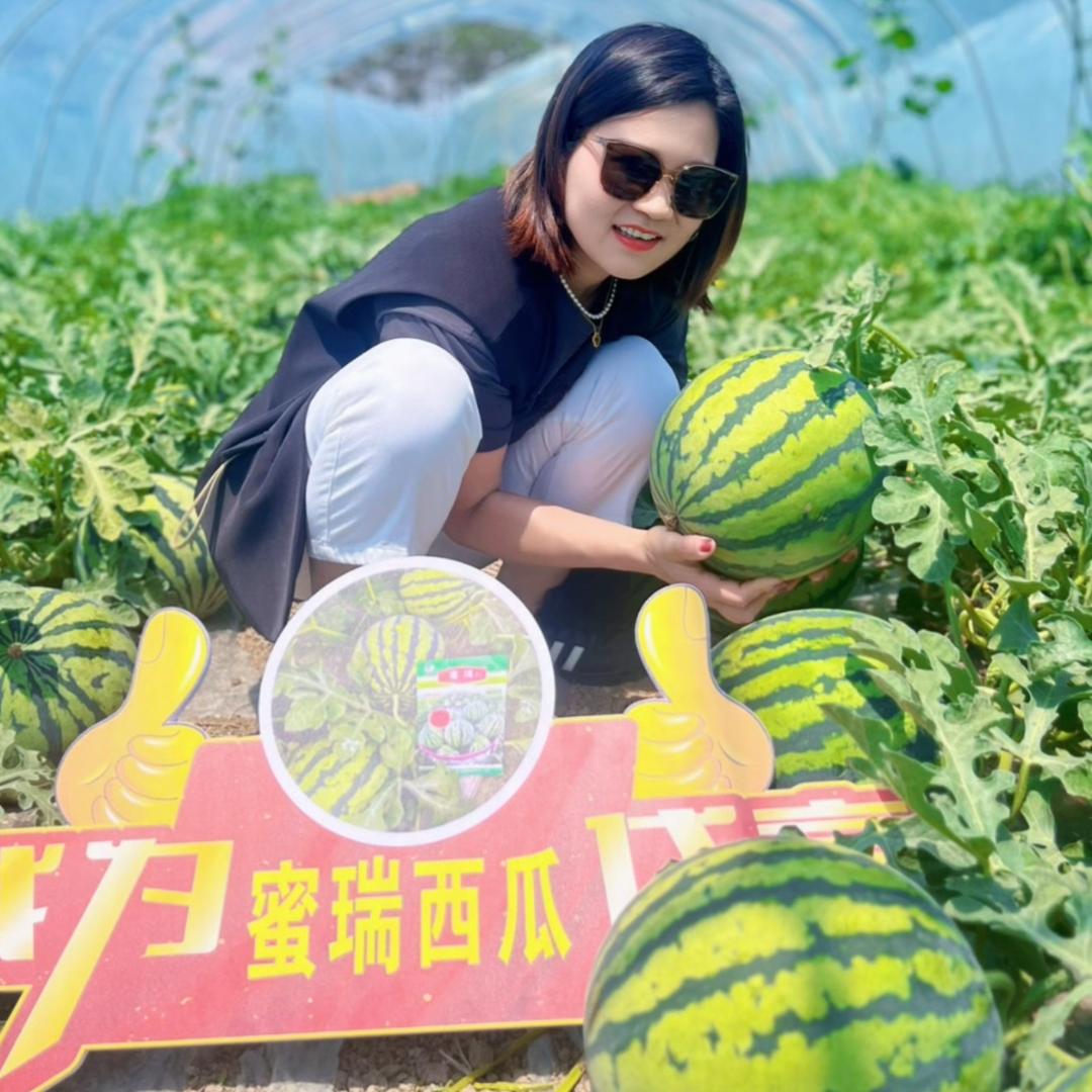 西瓜苗姐
