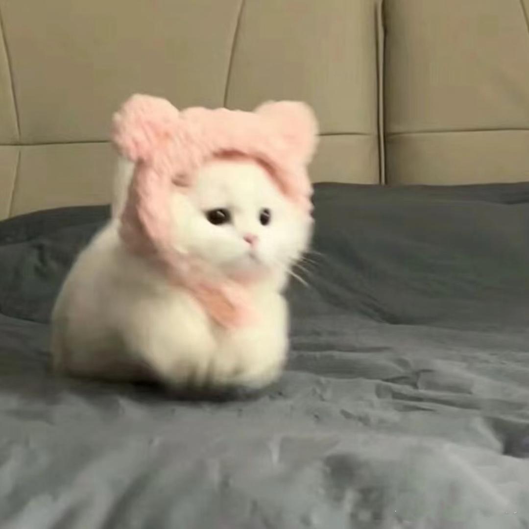 宝贝蛋卷儿