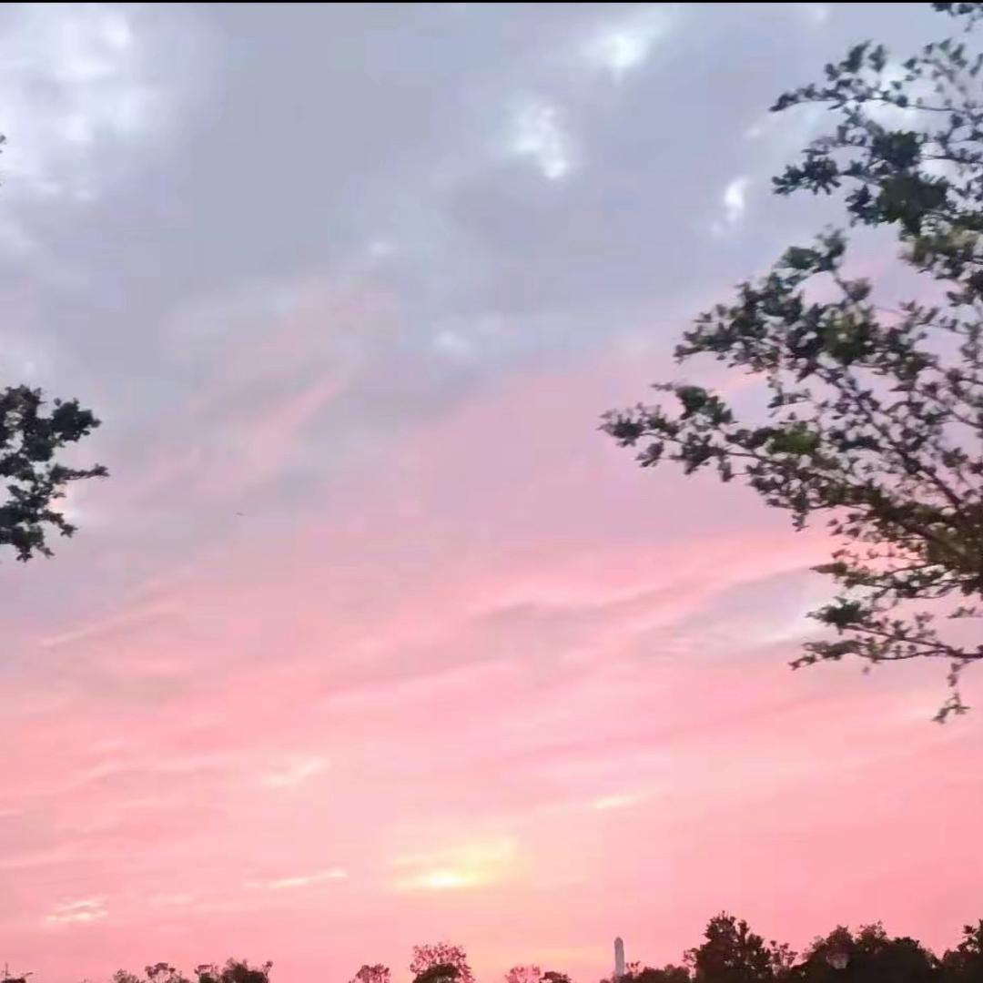 张老师帮你变强