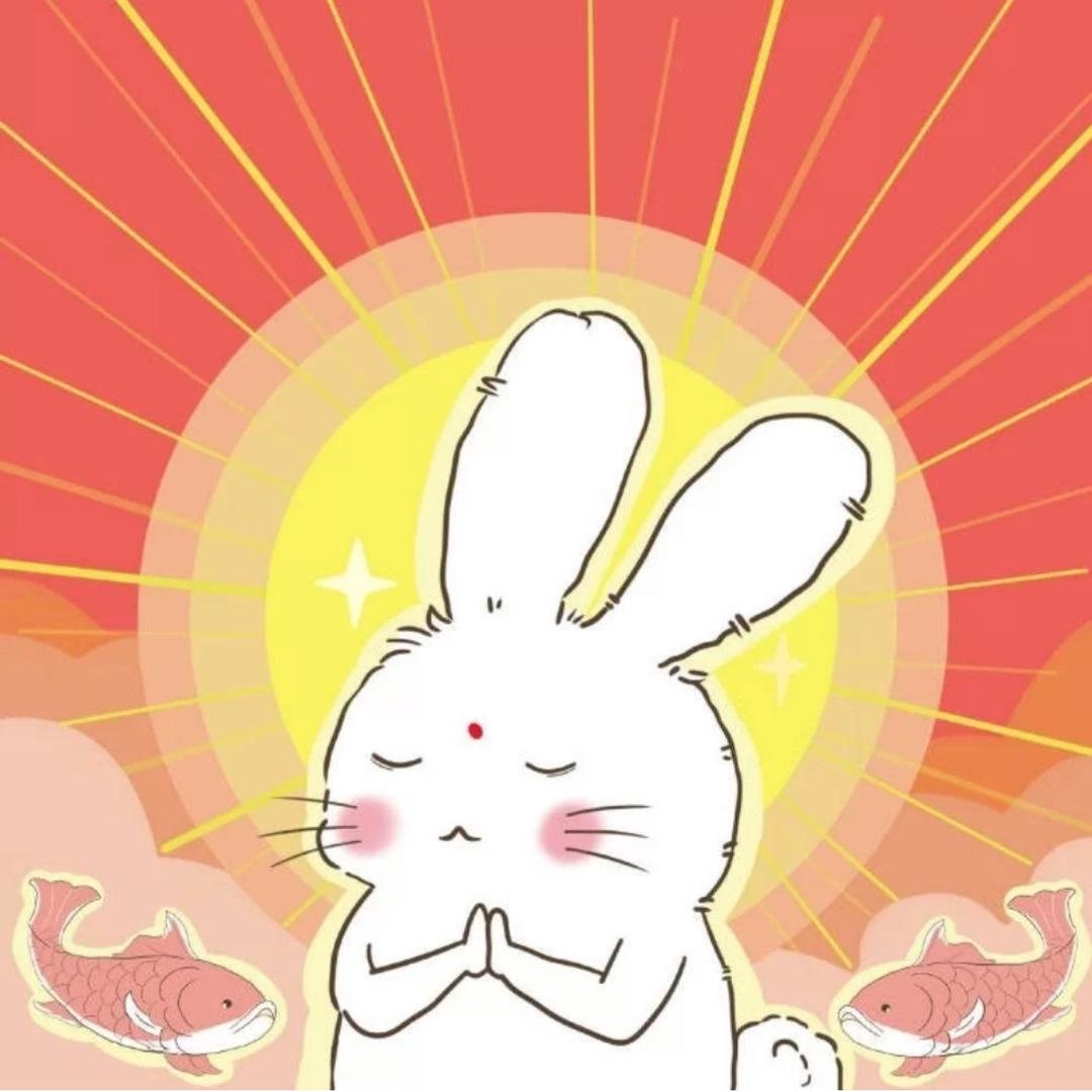 特务兔🍗