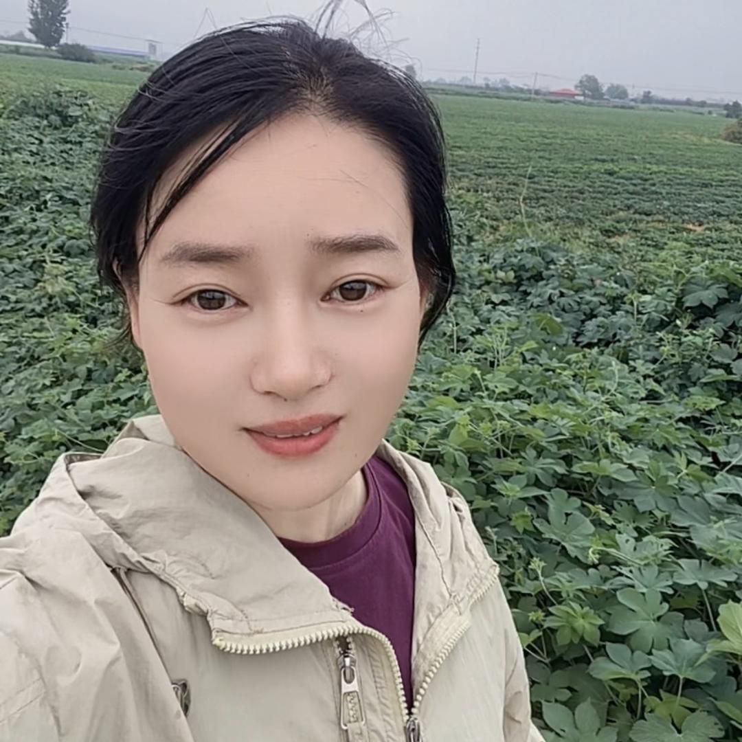 段小言