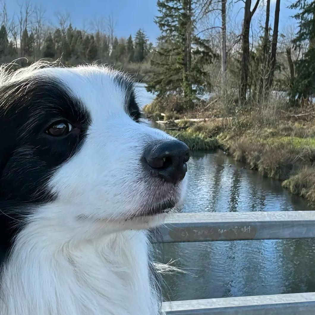 瘦瘦₍˄·͈༝·͈˄*₎◞ ̑̑