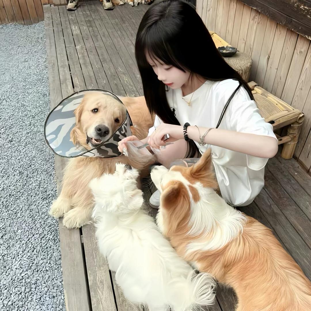 亲亲